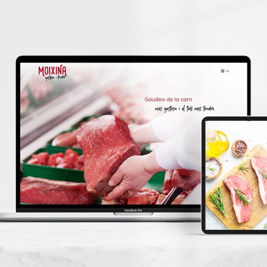 diseno de web moixina 550x550 - Creación de web para alimentación cárnica