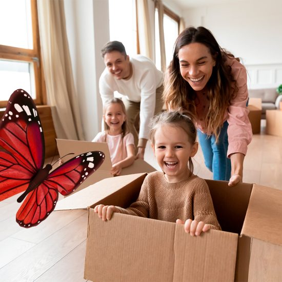 video render 3d producto