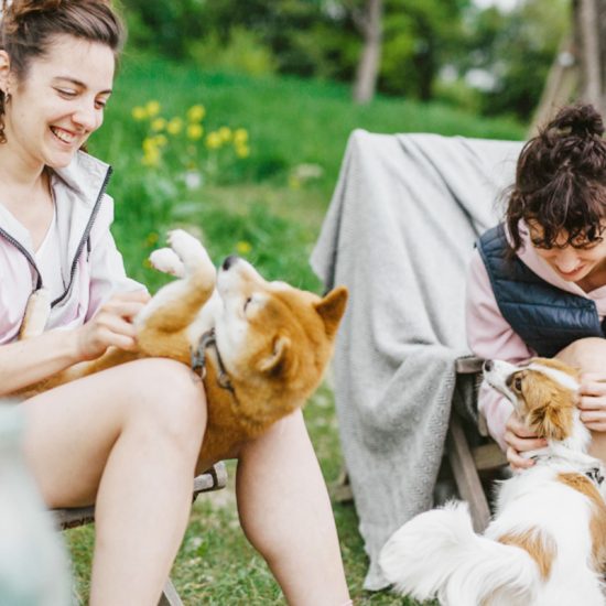 rebranding y rediseño web